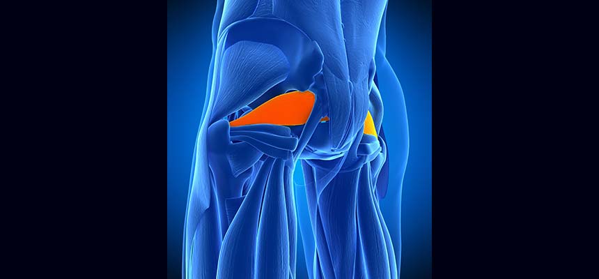 Patologia Contracturas musculares (Síndrome del Piramidal)