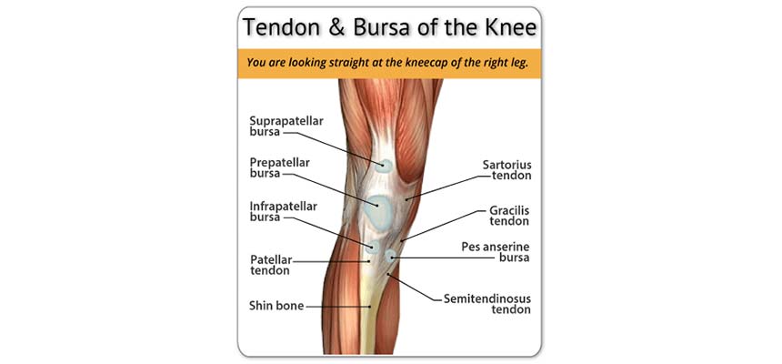 Bursitis de rodilla - Clínica de Fisioterapia Avanzada Martín Vasco, Talavera